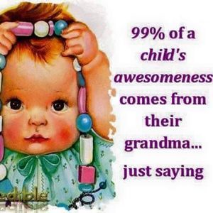 Meet your Posher, Ginger